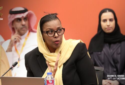 Ismahan Mahamoud Ibrahim, Première présidente de la Cour des comptes de Djibouti, présidente de l'Aisccuf